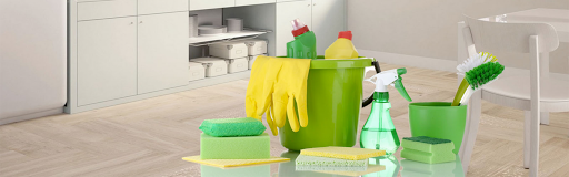 CINDERELLA MAGIC CLEANING INC in Prospect Heights, Illinois
