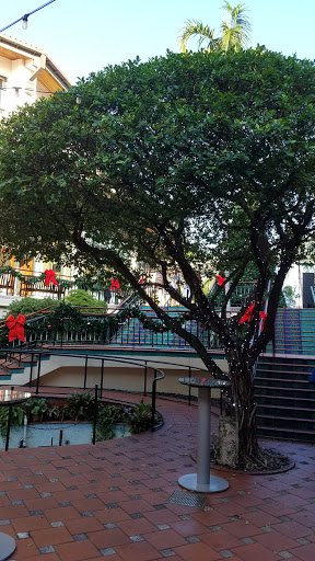 Performing Arts Theater «Broward Center for the Performing Arts», reviews and photos, 201 SW 5th Ave, Fort Lauderdale, FL 33312, USA