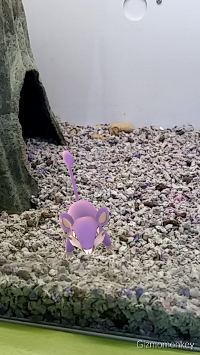 Pet Store «Animart», reviews and photos, 4303 E Towne Way, Madison, WI 53704, USA