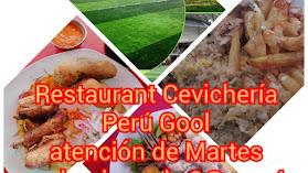Grass Sintético " Perú Gol "
