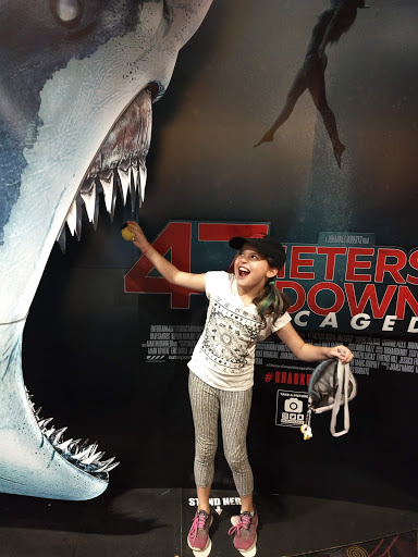 Movie Theater «AMC Showplace Machesney Park 14», reviews and photos, 1860 Anjali Way, Machesney Park, IL 61115, USA