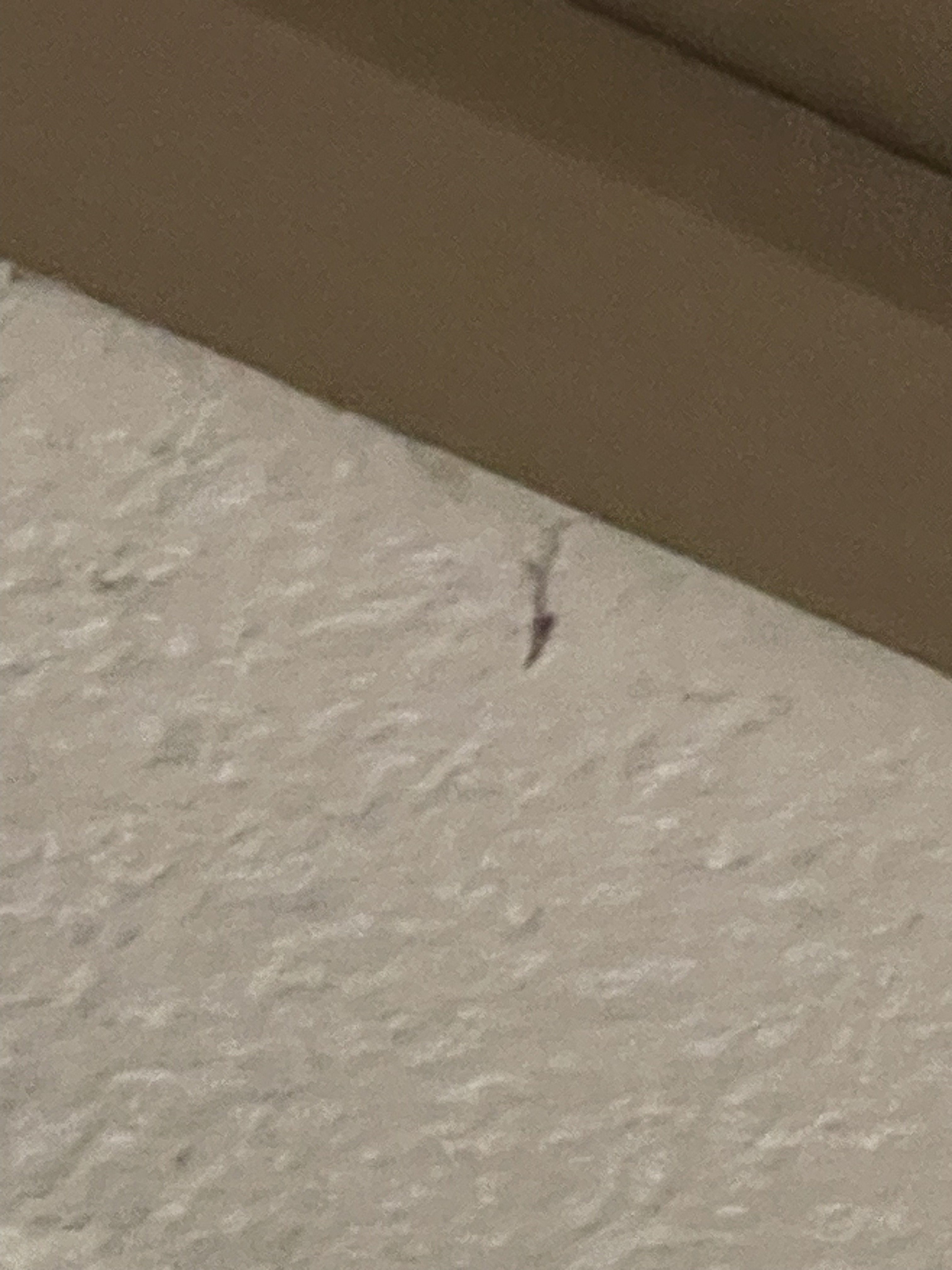 Photo n° 7 de l'avis de franck.e fait le 23/08/2018 à 14:15