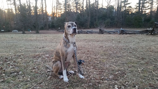 Memorial Park «Ox Hill Battlefield Park», reviews and photos, 4134 West Ox Rd, Fairfax, VA 22033, USA