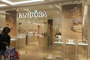 Pandora Nottingham image