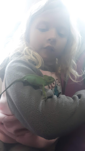 Pet Supply Store «Petco Animal Supplies», reviews and photos, 1080 Hometown Commons, Mountain Home, AR 72653, USA