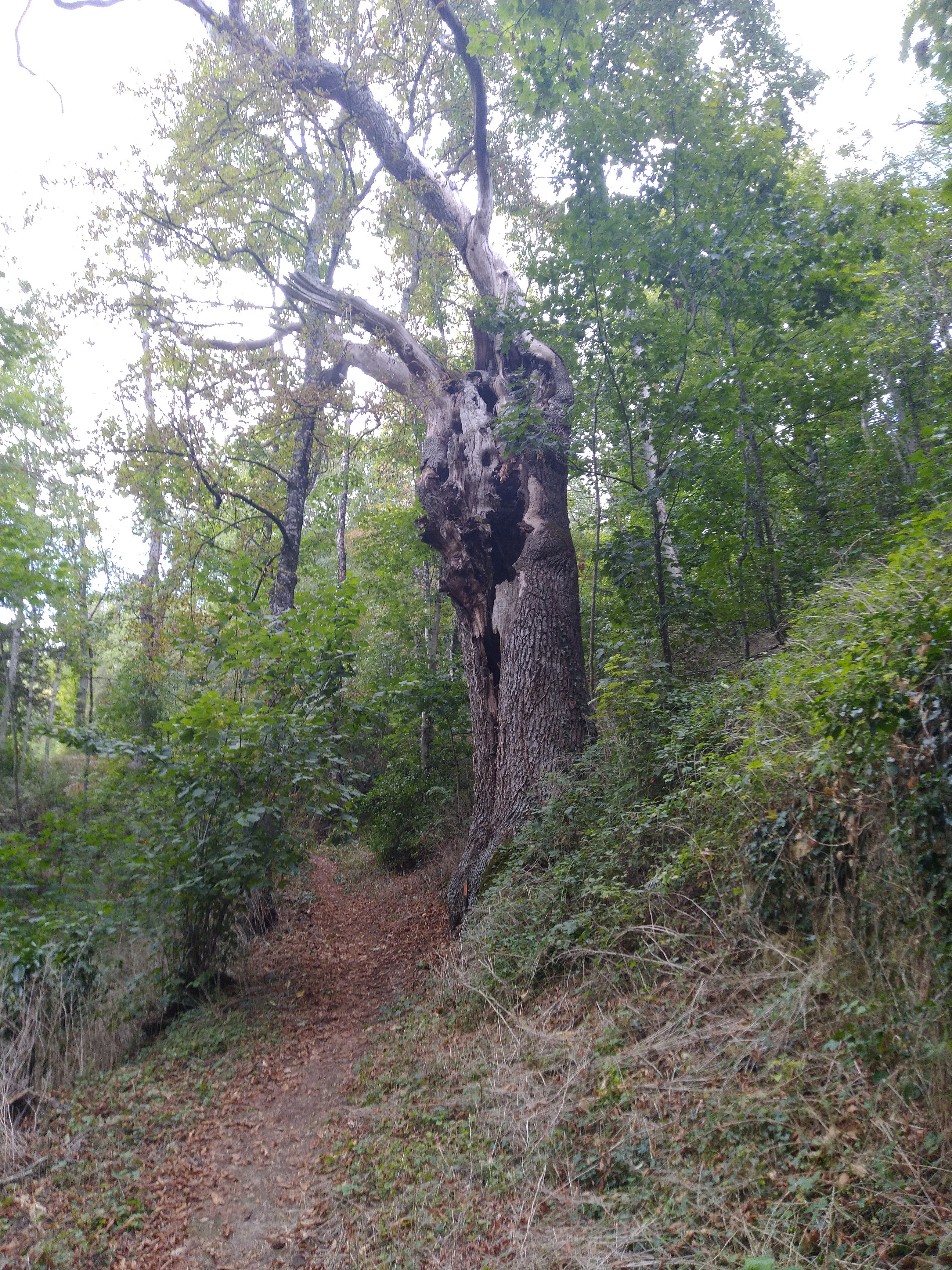 Photo n° 3 de l'avis de Dorian.. fait le 18/08/2022 à 19:35