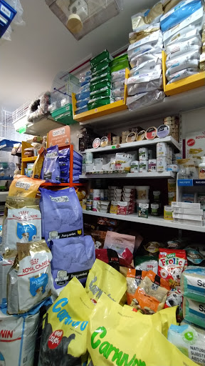 Mascotas Carabanchel - Madrid