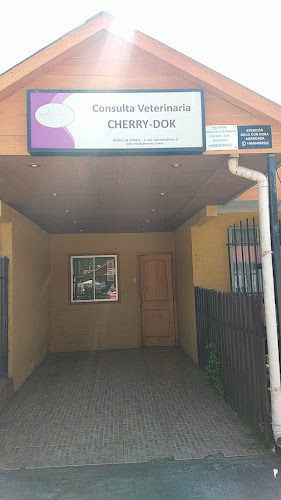 Consulta Veterinaria Cherry-Dok - San Pedro de La Paz
