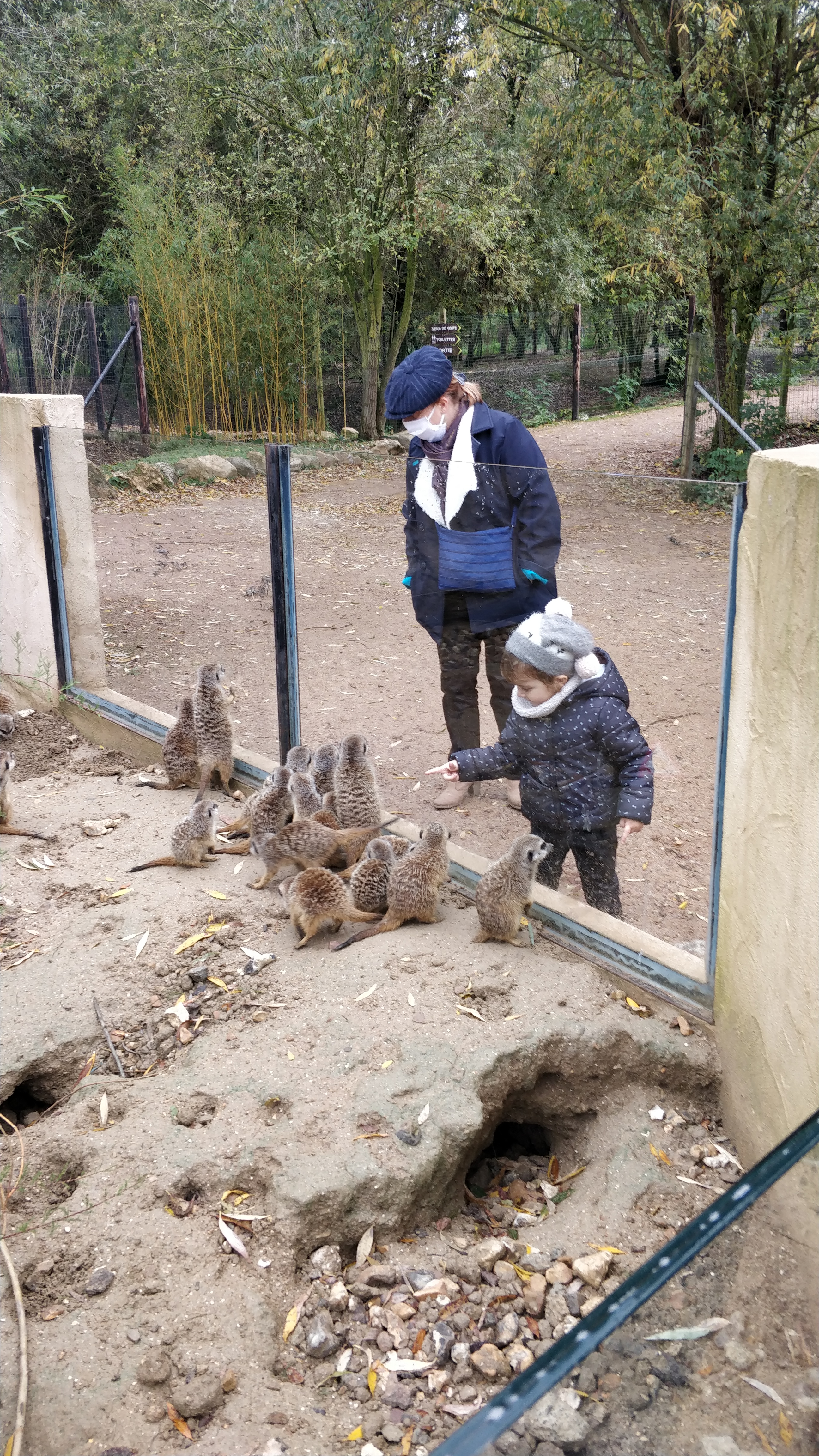 Photo n° 4 de l'avis de Daniel.o fait le 25/10/2020 à 14:01