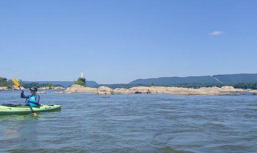 Tourist Attraction «Dauphin Narrows Statue Of Liberty», reviews and photos, US-22, Dauphin, PA 17018, USA