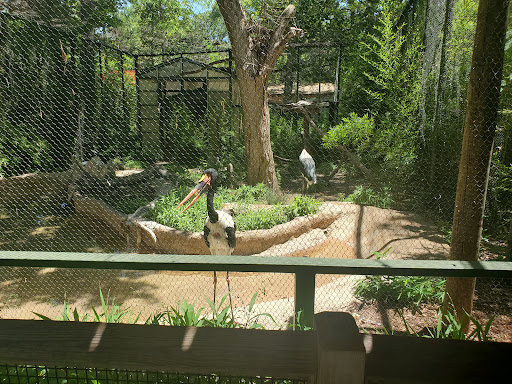 Zoo «Dallas Zoological Society», reviews and photos, 650 S R L Thornton Fwy, Dallas, TX 75203, USA