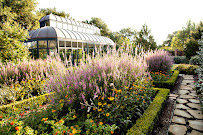 Southern Botanical Landscaping - Photo 3 - Car repair in Dallas, TX, Dallas