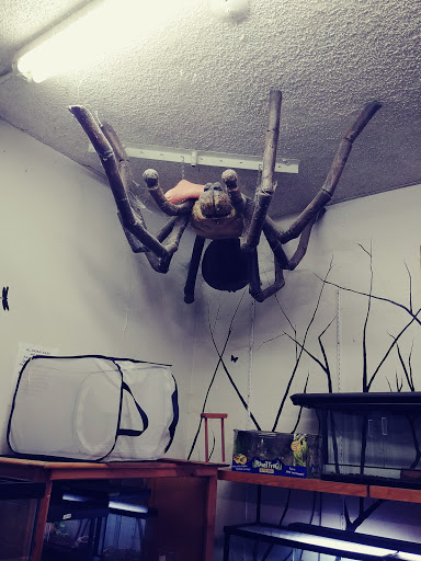 Reptile Store «An Exotic Reptile Pet Shop», reviews and photos, 3115 N 1st Ave, Tucson, AZ 85719, USA