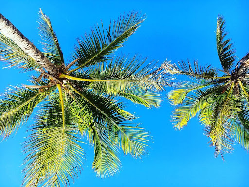 Aquarium «Miami Seaquarium», reviews and photos, 4400 Rickenbacker Causeway, Key Biscayne, FL 33149, USA