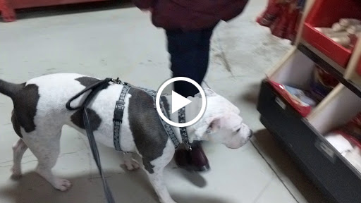 Pet Supply Store «Mounds Pet Food Warehouse», reviews and photos, 5350 King James Way, Fitchburg, WI 53719, USA