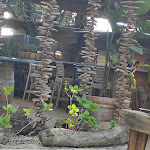 Photo n° 1 de l'avis de Cath.t fait le 11/04/2023 à 08:18 pour La Cabasse à Bormes-les-Mimosas