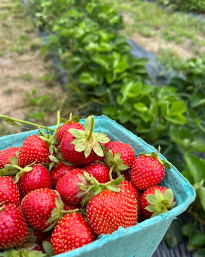 Bynum Family Farm