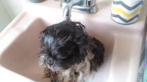 Beauty Salon «Ooh La La Salon», reviews and photos, 811 Locust St, Cambridge, MD 21613, USA