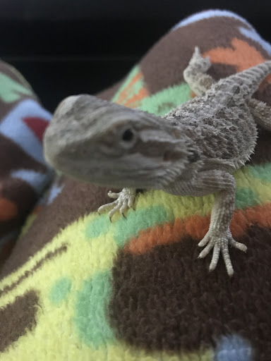 Pet Supply Store «PetSmart», reviews and photos, 13000 Aurora Ave N, Seattle, WA 98133, USA