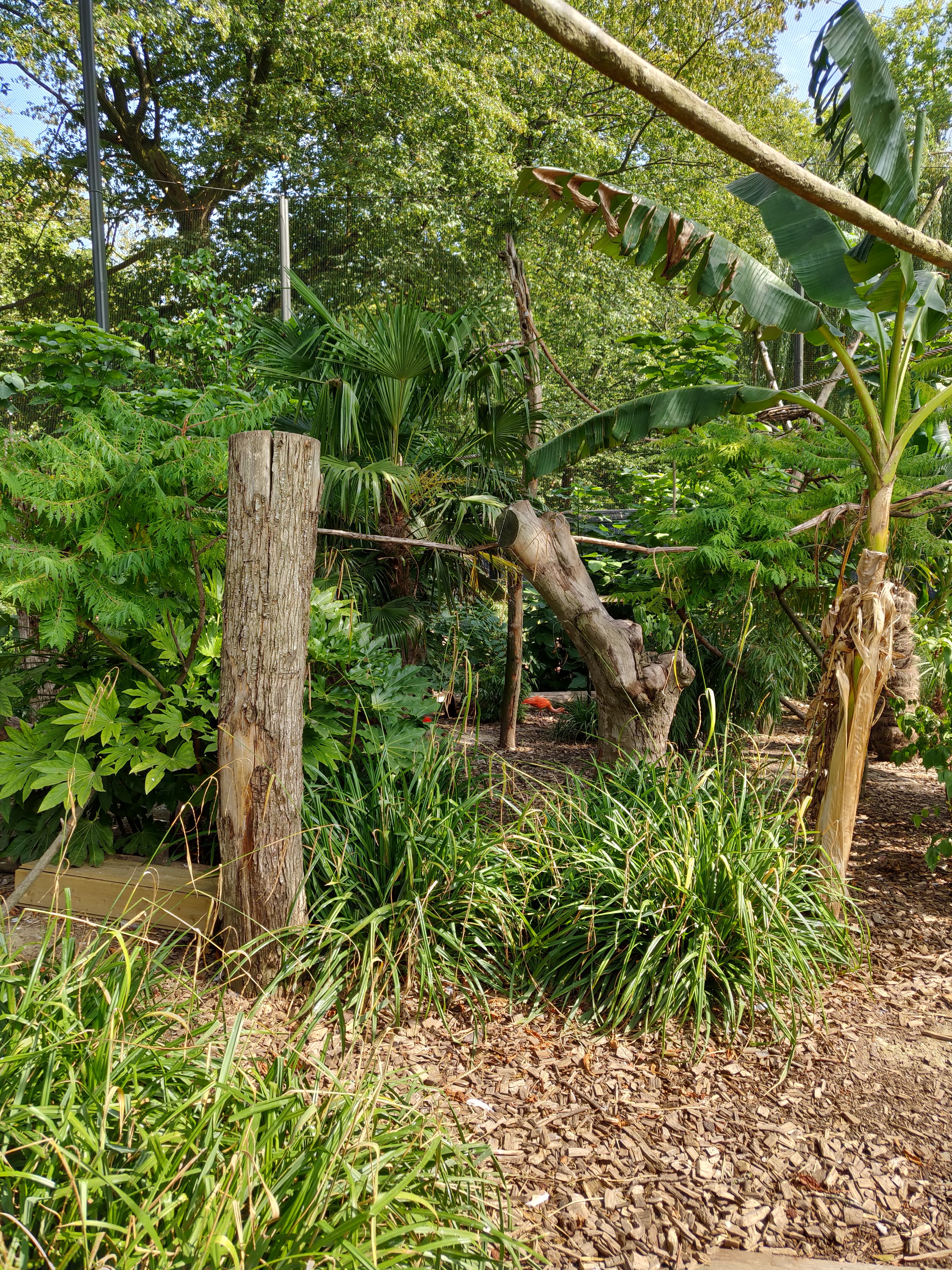 Photo n° 50 de l'avis de Amélie.e fait le 31/08/2019 à 17:39