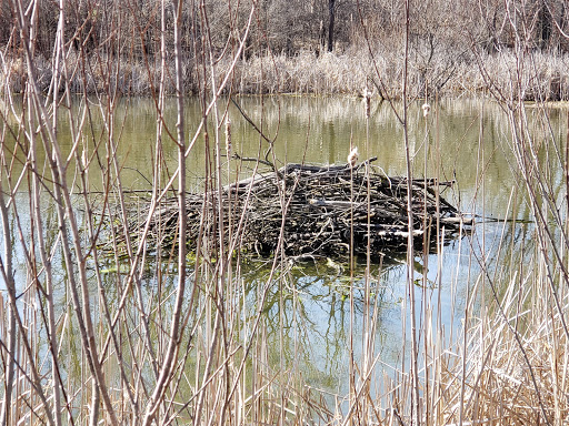 Nature Preserve «Rock Run Preserve - Paul V. Nichols Access», reviews and photos, Essington Rd, Joliet, IL 60435, USA