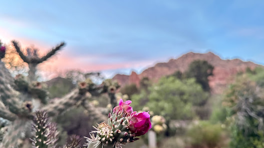 Sedona Kokoro Healing 15 Deer Ct, Sedona, AZ 86351, United States