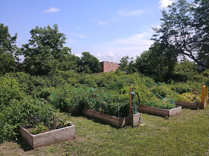 Ponton Park Community Garden