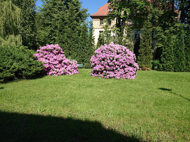 Opinii despre Szpital Specjalistyczny MSWiA în Jelenia Góra - Psycholog