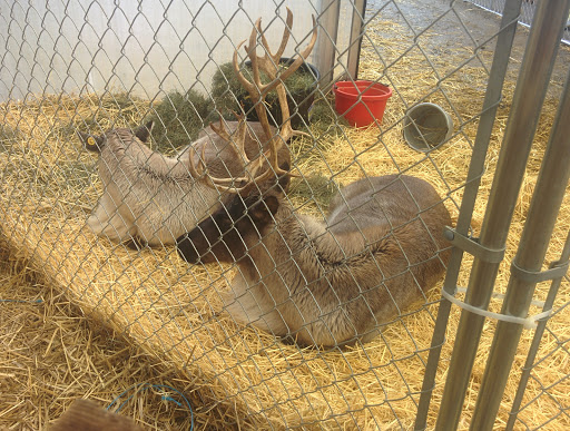 Grocery Store «Adams Fairacre Farms», reviews and photos, 160 Old Post Rd, Wappingers Falls, NY 12590, USA