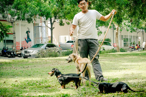 Dog day care Ho Chi Minh