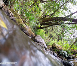 Hotel La Frontera photo