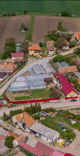 Opinii despre SxN kerteszet în Coșeni - Florărie