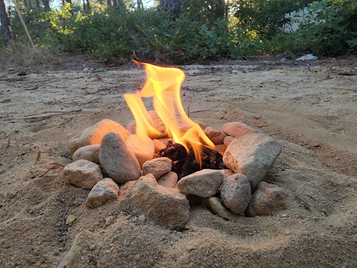 State Park «Myles Standish State Forest», reviews and photos, 194 Cranberry Rd, Carver, MA 02330, USA