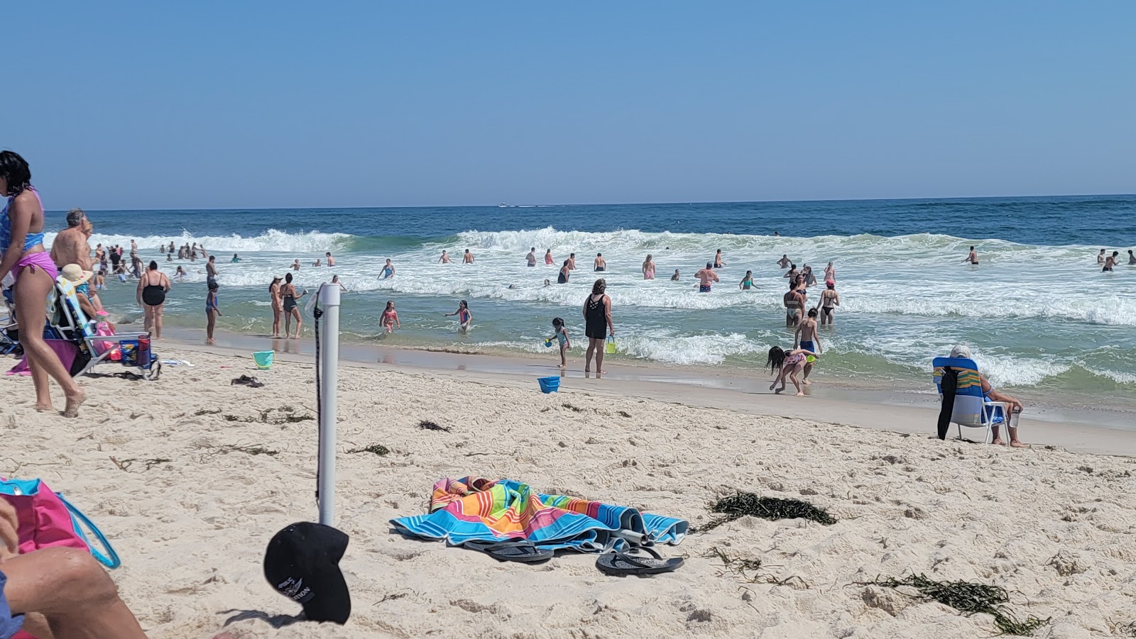 Photo de Cupsoque Beach - bon endroit convivial pour les animaux de compagnie pour les vacances