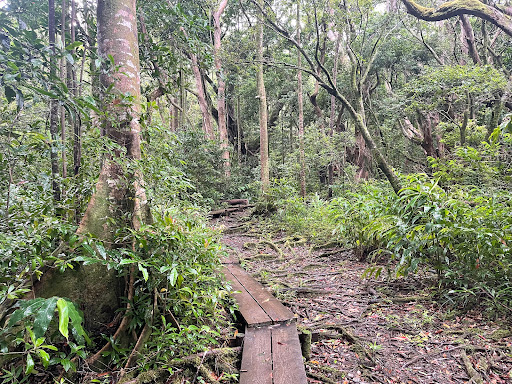 Nu’uanu Trail
