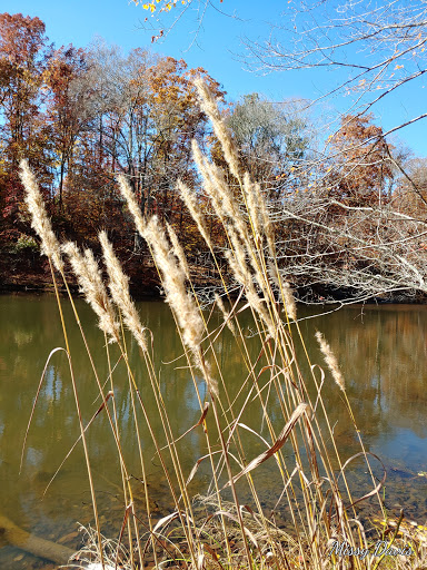 Wildlife Park «Charlie Elliott Wildlife Center», reviews and photos, 543 Elliott Trail, Mansfield, GA 30055, USA