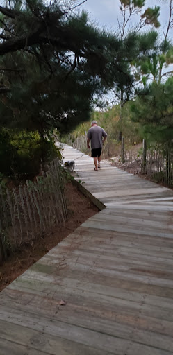 Army & Navy Surplus Shop «Navy Exchange-Dam Neck Annex», reviews and photos, 1977 Terrier Ave, Virginia Beach, VA 23461, USA