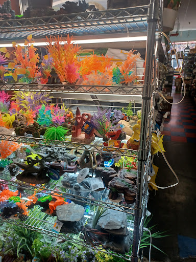 Pet Store «Pet Resources», reviews and photos, 814 Westchester Ave, Bronx, NY 10455, USA