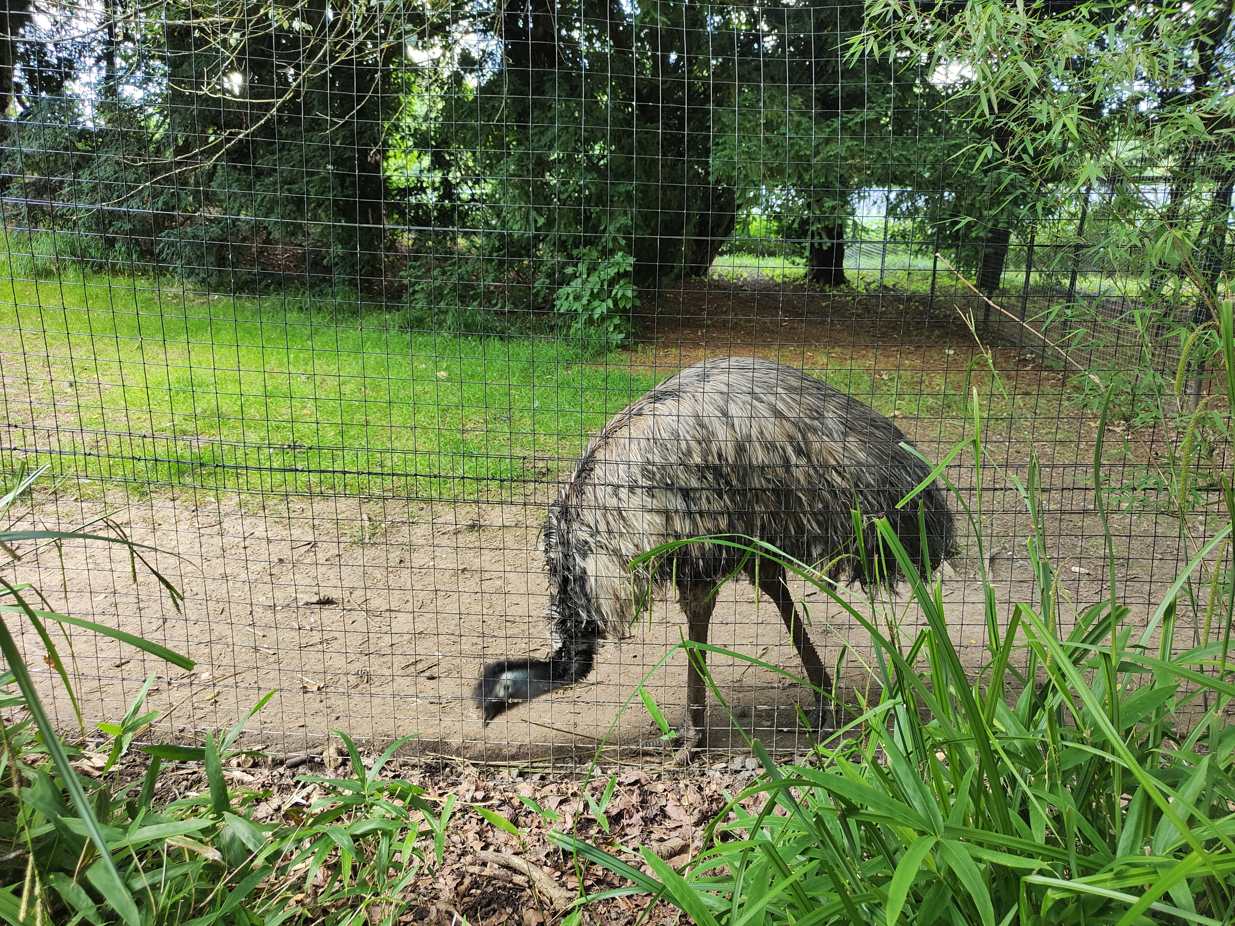 Photo n° 3 de l'avis de Claude.a fait le 03/08/2023 à 20:56
