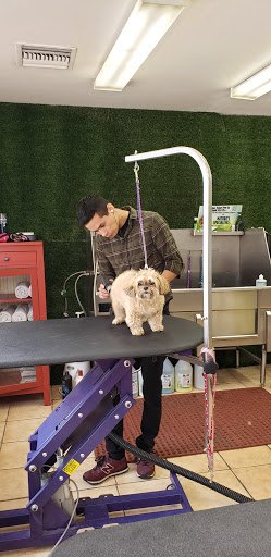 Pet Supply Store «Pet Haven», reviews and photos, 626 N Glenoaks Blvd, Burbank, CA 91502, USA