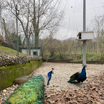 Photo n°19 de l'avis de Sara.u fait le 02/01/2022 à 15:14 sur le  Villa Rizzo Resort Spa à San Cipriano Picentino