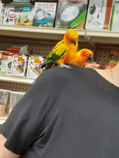 Pet Store «Jules Pet Shop», reviews and photos, 2214 N Milwaukee Ave, Chicago, IL 60647, USA