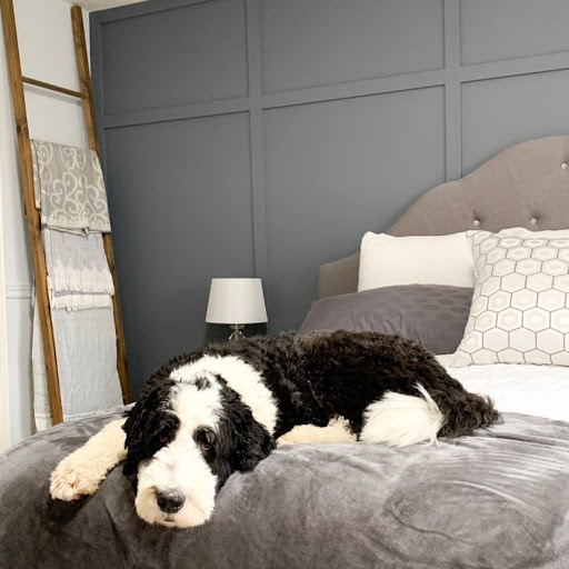 Paint Store «Lebanon Paint & Decorating», reviews and photos, 51 Main St, West Lebanon, NH 03784, USA