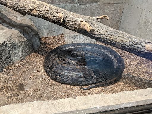 Aquarium «SeaQuest Interactive Aquarium», reviews and photos, 1201 N Hill Field Rd #1072, Layton, UT 84041, USA