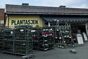 Plantasjen image