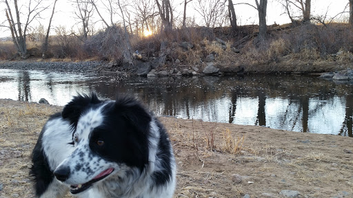 Park «South Platte Park and Carson Nature Center», reviews and photos, 3000 W Carson Dr, Littleton, CO 80120, USA