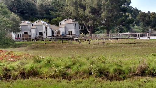 Grocery Store «Inverness Store», reviews and photos, 12784 Sir Francis Drake Blvd, Inverness, CA 94937, USA