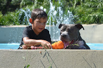 Professional K9 Solutions - Photo 2 - Car repair in Kenner, LA, Metairie