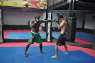 Best Martial Arts Gyms In San Pedro Sula Near You