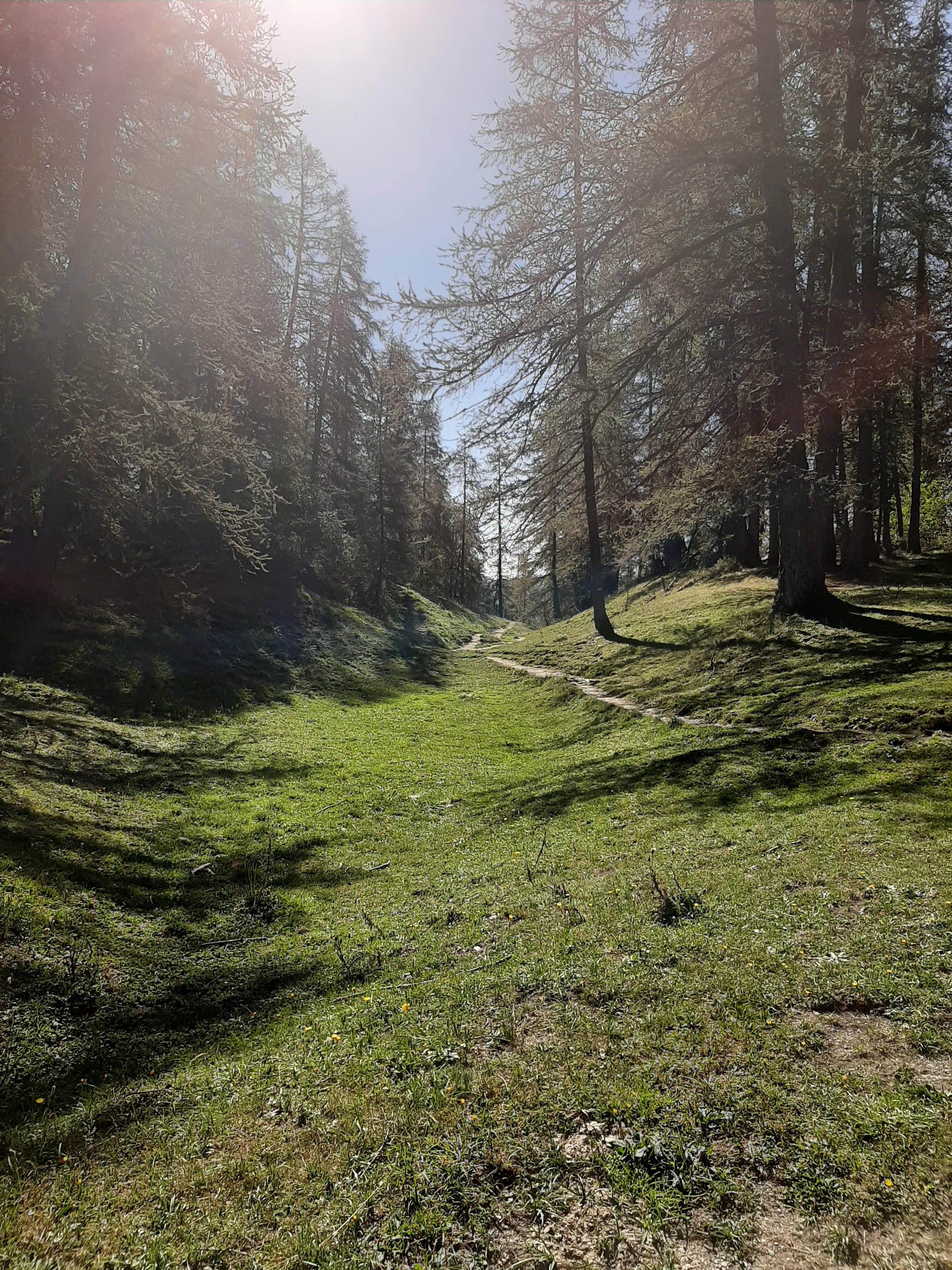 Photo n° 1 de l'avis de Deborah.A fait le 21/08/2020 à 15:52